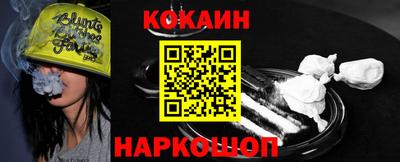 гашик Моздок