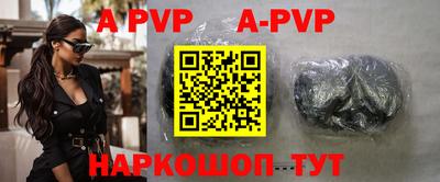 гашик Моздок