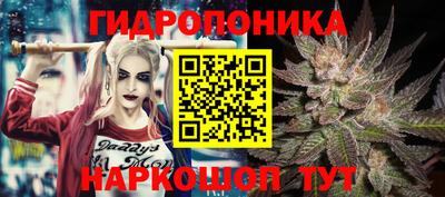 мяу мяу мука Малгобек