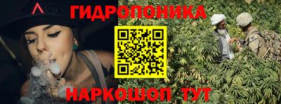 дживик Можга