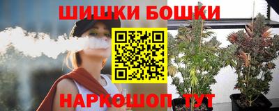 дживик Можга