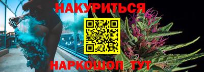 гашик Моздок
