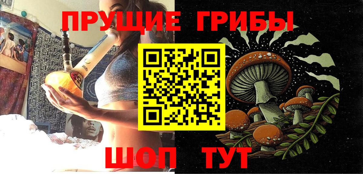 Псилоцибиновые грибы MAGIC MUSHROOMS  Псилоцибиновые грибы мухоморы  Вход с VPN  Тихорецк 