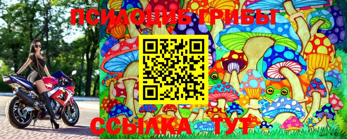 Псилоцибиновые грибы Psilocybe Тихорецк
